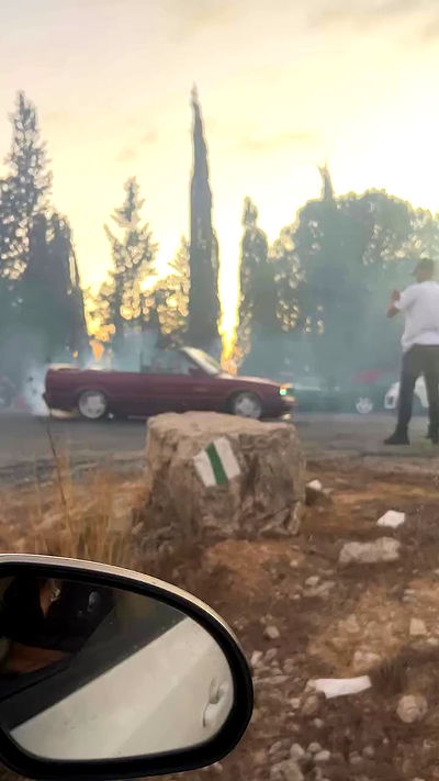 simp_for_cats_ simp_for_cats_ archive video