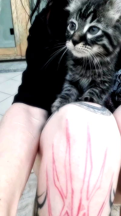 aekamee aekamee archive video