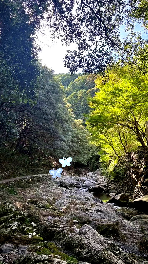 shiolikutsuna archive video preview