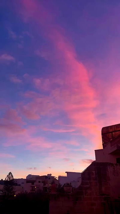 bakedsloths bakedsloths archive video