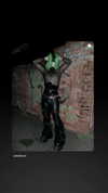 fungusfr0g Altpins Profile Picture