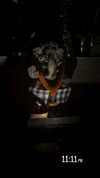 ellie.coldwell Altpins Profile Picture