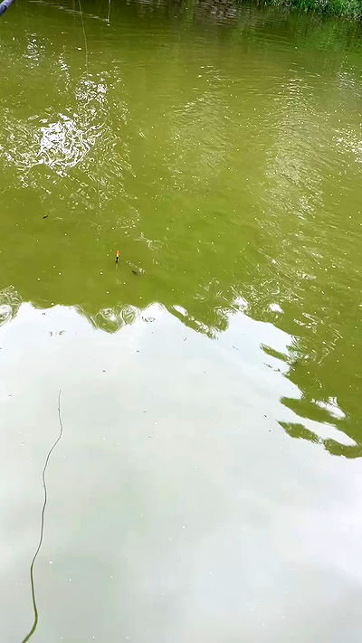 howeversnowy howeversnowy archive video