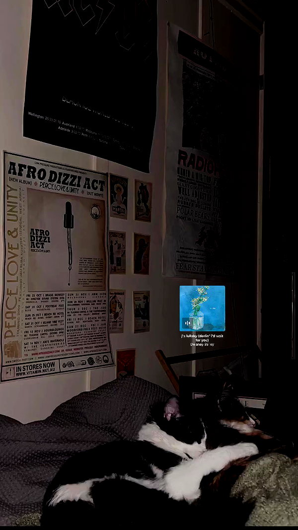 estr3iia archive video preview
