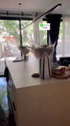 karin_orhov Altpins Profile Picture