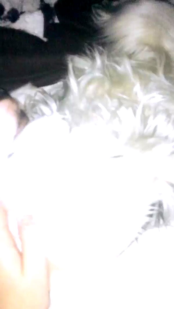 elena_stain archive video preview