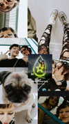 kyshenec Altpins Profile Picture