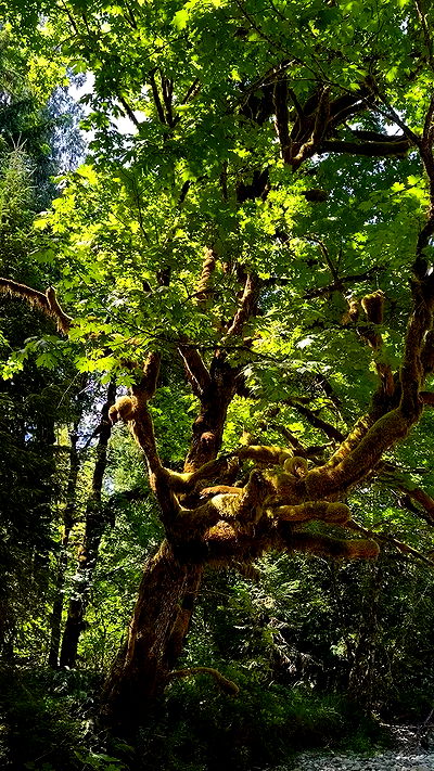 sedonaskyxo sedonaskyxo archive video