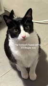 maayan191 Altpins Profile Picture
