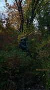 yenichaxx.407 Altpins Profile Picture