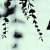 zaperwave Altpins Profile Picture