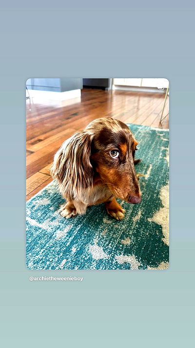 _._dianush._ _._dianush._ archive video