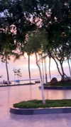 noa_mendel_ Altpins Profile Picture