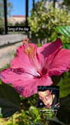 zz.eazoning Altpins Profile Picture