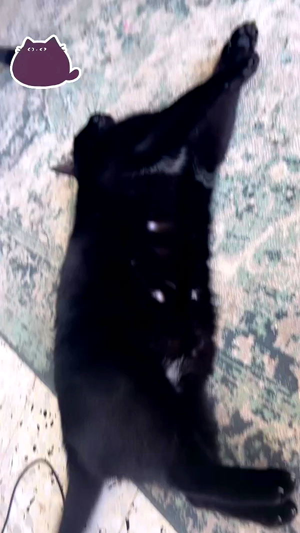 hellokittyangel666 archive video preview