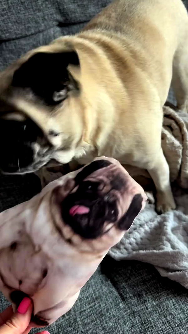 nyityam archive video preview