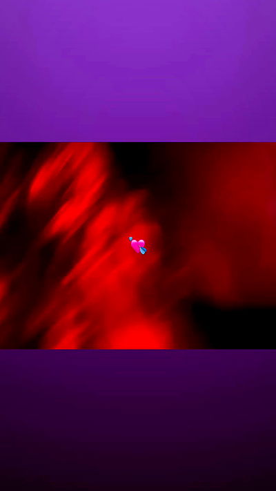 _lil_noa_ _lil_noa_ archive video