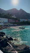 maayan.shaibi Altpins Profile Picture