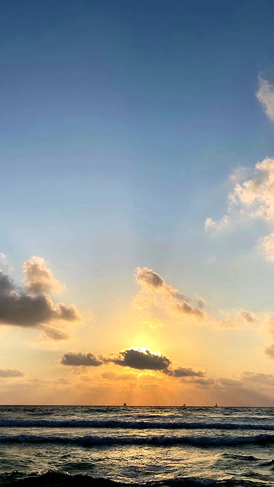 noa_zemlyanski noa_zemlyanski archive video