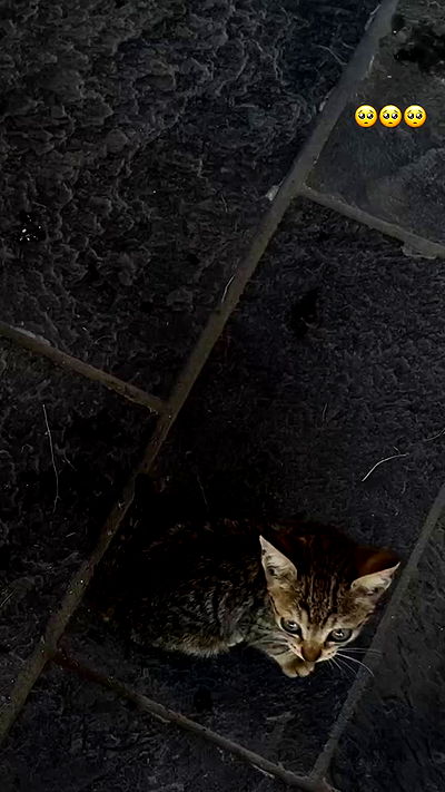 payton.r payton.r archive video