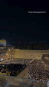 yuval.rene.pinto Altpins Profile Picture