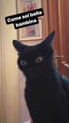 calyen Altpins Profile Picture