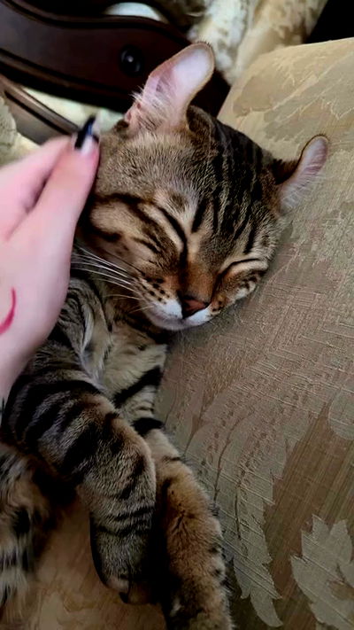 laurinchhhe laurinchhhe archive video