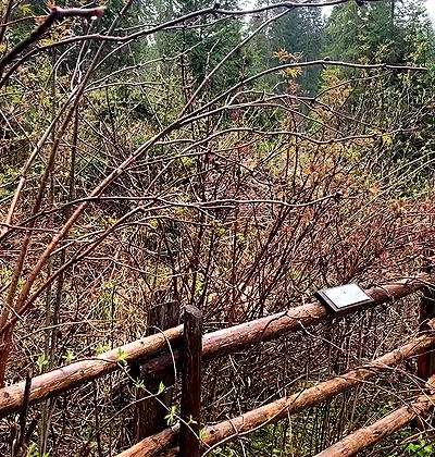 nikolgolovatzky nikolgolovatzky archive video