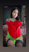 mulan.vx Altpins Profile Picture