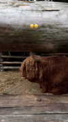 tori_t96 Altpins Profile Picture