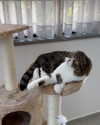 sonia_litvanchuk Altpins Profile Picture