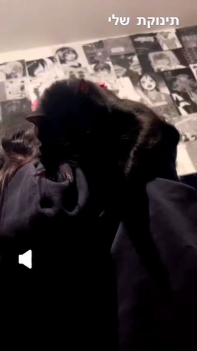 hellokittyangel666 hellokittyangel666 archive video