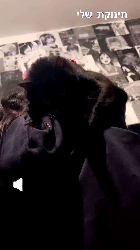 hellokittyangel666 archive video preview