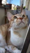 lotembar Altpins Profile Picture