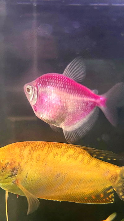 feelbetterinmysweater feelbetterinmysweater archive video