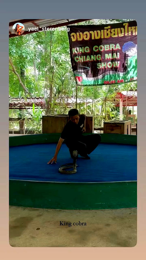 amit.yaron archive video preview