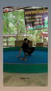 amit.yaron Altpins Profile Picture
