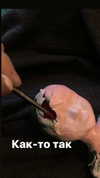 katie_westwood Altpins Profile Picture