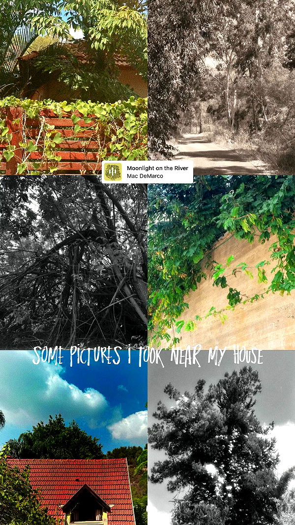 liashaked archive video preview