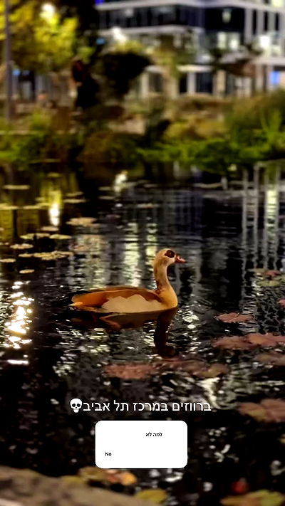 itsilanosh itsilanosh archive video