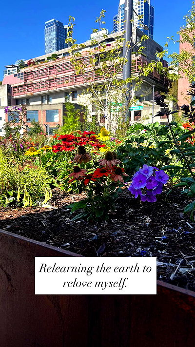 tatum.ricee tatum.ricee archive video