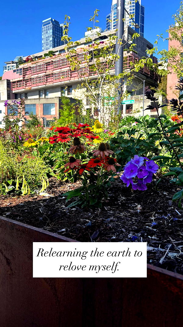 tatum.ricee archive video preview