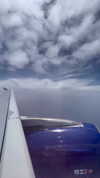 adel__s_ Altpins Profile Picture