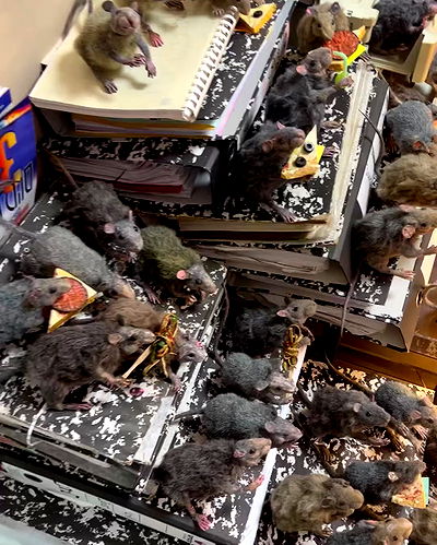 hellokittyangel666 hellokittyangel666 archive video