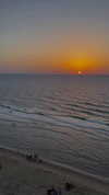 lital.oss Altpins Profile Picture