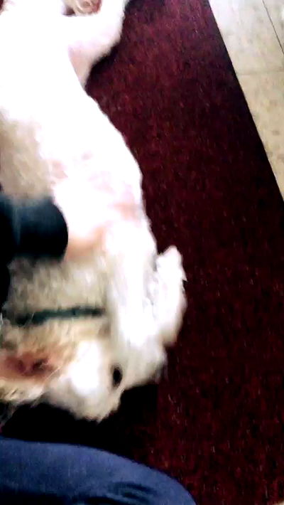 feelbetterinmysweater feelbetterinmysweater archive video