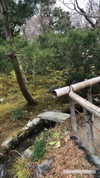 virginia.battiston Altpins Profile Picture