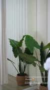 _anastasiaxxq_ Altpins Profile Picture