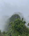 shelly_roberin Altpins Profile Picture