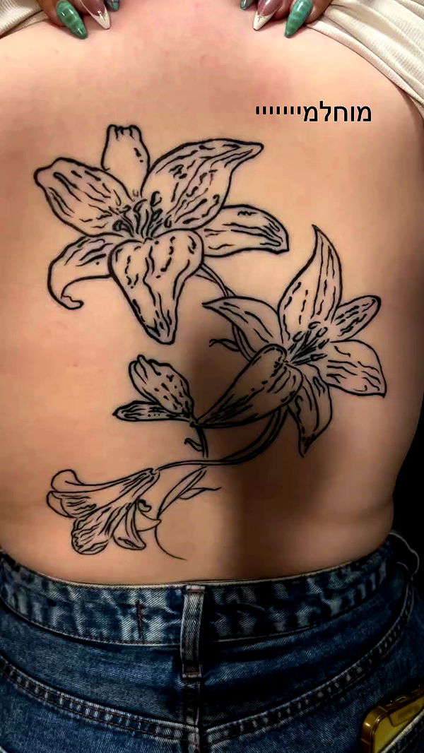 _wizardmidget_ archive video preview